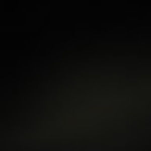 Meet your Posher, Gavin